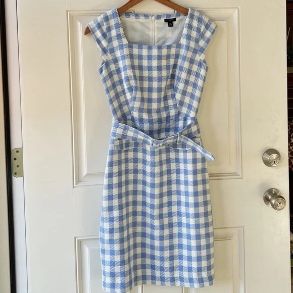 Ann Taylor Baby Blue Gingham Petite Dress - Picture 5 of 8